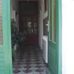 Anica * Kampor